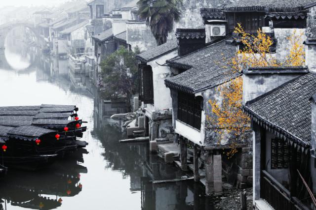 成县巾帼·她关注 | 美丽庭院建设国家标准发布